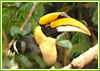 Wildlife Sanctuaries in Kerala