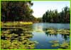 Veli Lake, Kerala